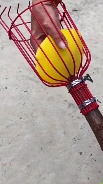 Сборщик фруктов AliExpress смотреть онлайн