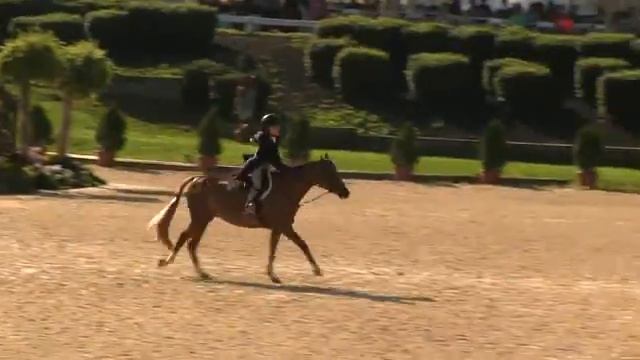 Video of SECRET LOVE ridden by SOPHIE GOCHMAN from ShowNet! смотреть онлайн