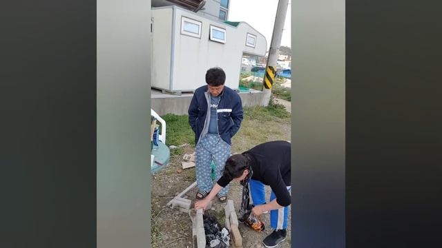 Южная корея, шашлыки.