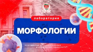 Лаборатория морфологии