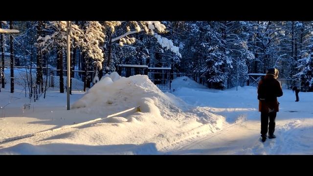 Зимний монтаж, Елизавета Наумова смотреть онлайн