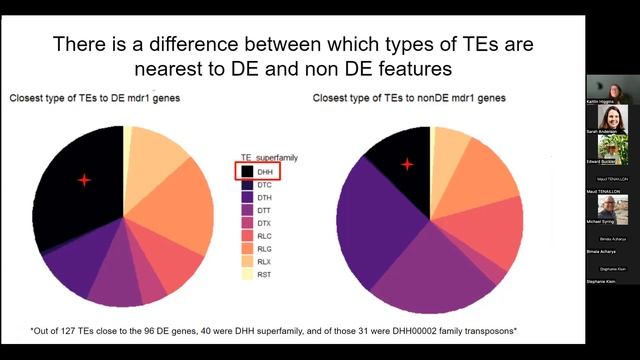Kaitlin Higgins: Exploring maize endosperm transcription regulation through mutant mdr1 смотреть онлайн