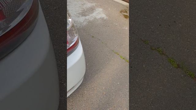 20250410_161911.mp4 смотреть онлайн
