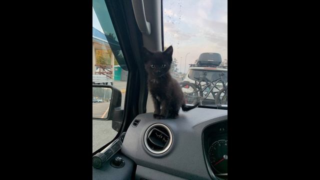 Старая сказка с плохим концом смотреть онлайн