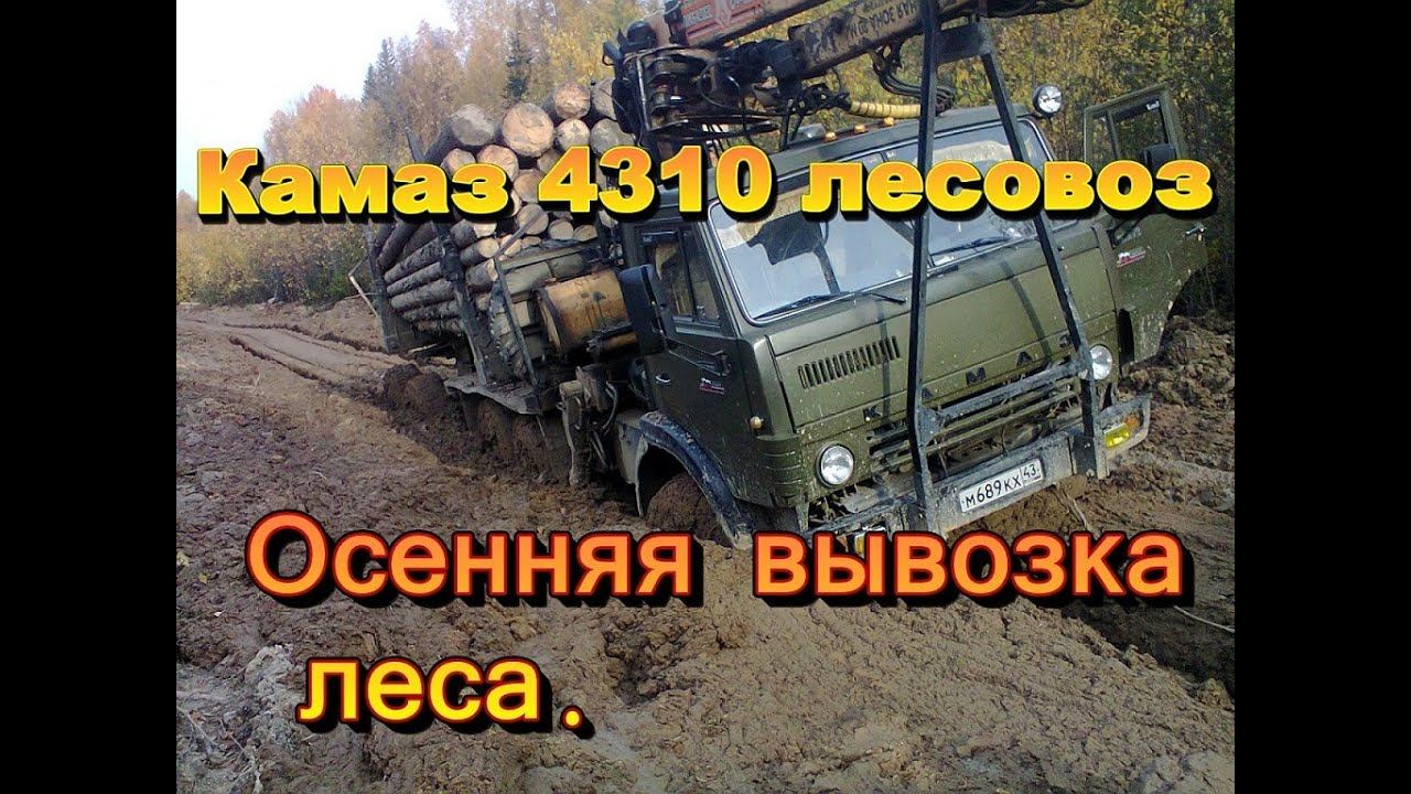 Камаз 4310 лесовоз. Осенняя вывозка леса. смотреть онлайн
