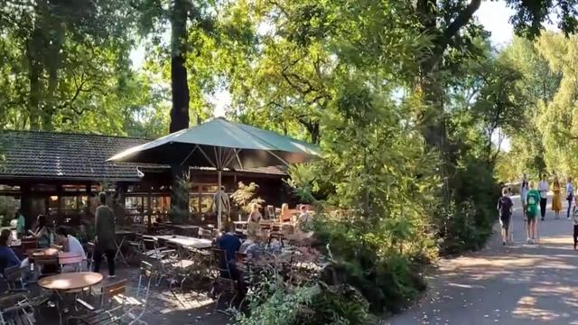 Зоопарк в Берлине прогулка и обзор зебра, африканская антилопа, кондор, ослы, овцы, птицы