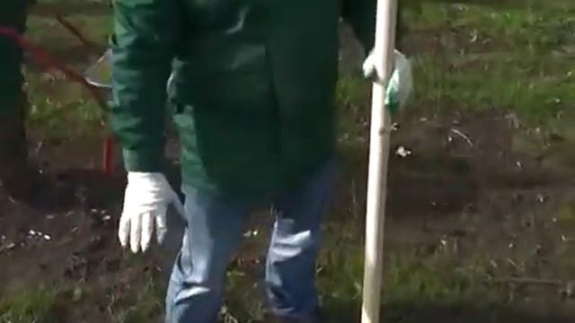 Волонеры Segezha Group провели экоакцию "Посади дерево" в Лесосибирске смотреть онлайн