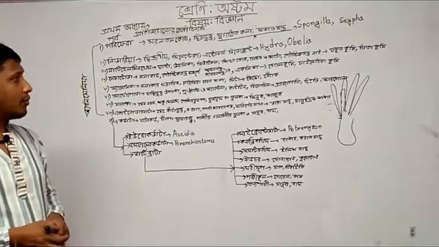 অষ্টম শ্রেণি বিজ্ঞান ( প্রথম অধ্যায় ) প্রাণিজগতের শ্রেণিবিন্যাস লেকচার = ভাস্কর দাস смотреть онлайн