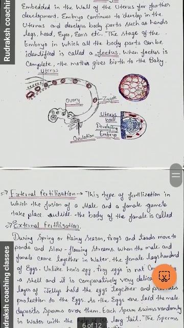 Rudraksh Coaching Classes (Reproduction in animals and organism notes)@amitverma9538 смотреть онлайн