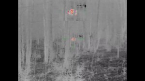 охота на волка. март 2025.mp4