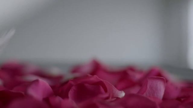 Rado True Open Heart