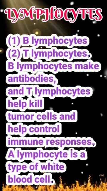 lymphocytes 🔴 B lymphocytes 🔴 T lymphocytes medical GK . смотреть онлайн