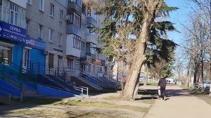 Прогулка по г.Брянску ул.Орловская и дальше...
