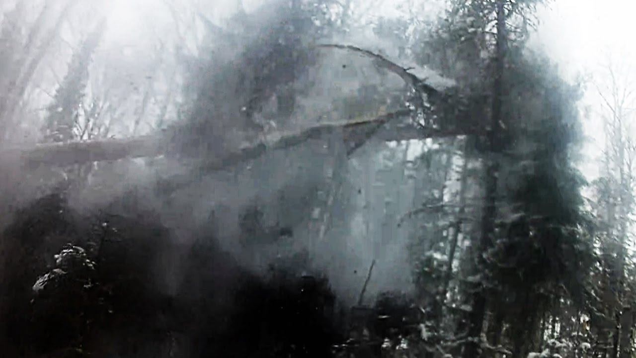 Валка леса бензопилой. Вальщик 80 lvl. смотреть онлайн