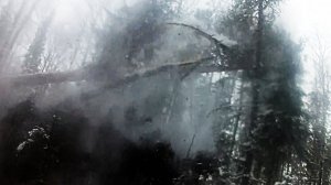 Валка леса бензопилой. Вальщик 80 lvl.