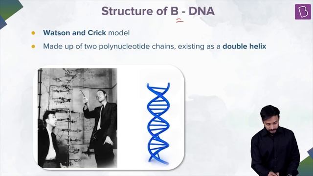 Types of Nucleic acids and Structure of DNA | BIOLOGY | NEET | Concept of the Day | Pushpendu Sir смотреть онлайн