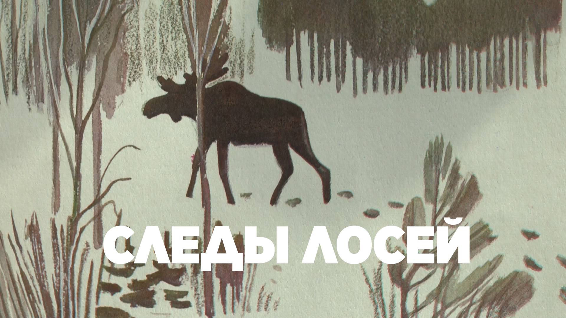 Следы лосей