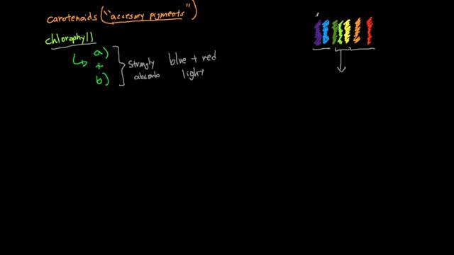 Photosynthesis: Carotenoids and Chlorophyll; What are Accessory Pigments? смотреть онлайн