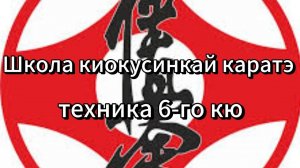 Школа киокусинкай каратэ. Программа сдачи на жёлтый пояс 6-й кю.