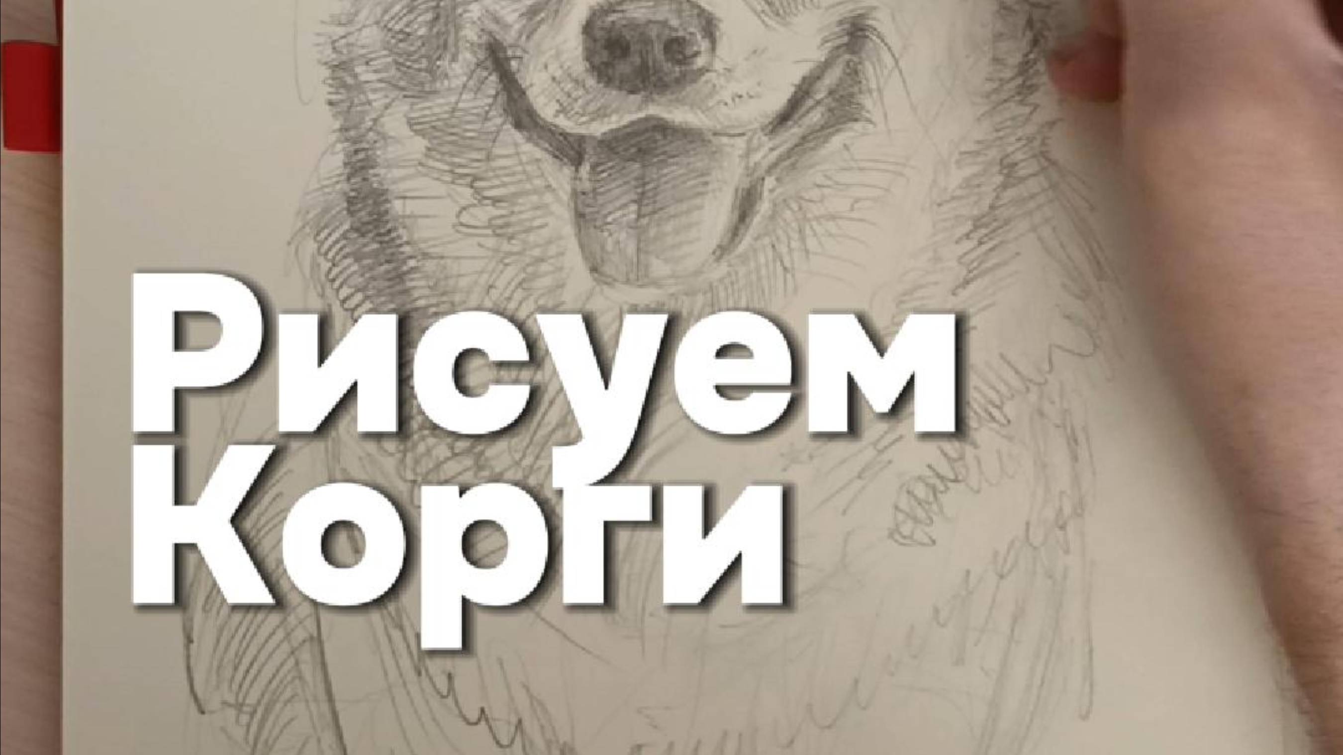 Рисуем Корги смотреть онлайн