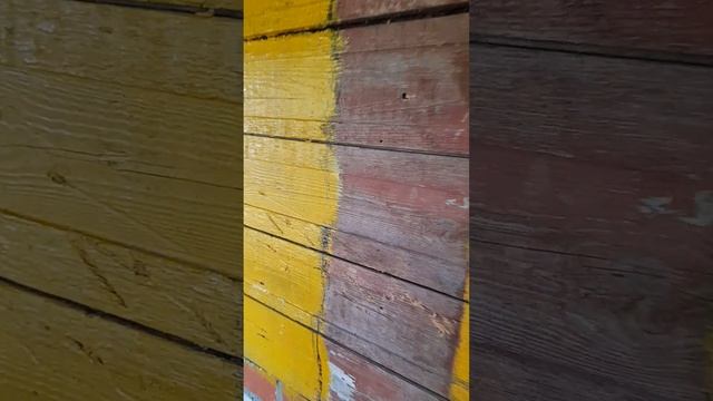 Охотник за приведениями Мартышкин Пышкин фокусник пришел смотреть дом с приведениями . смотреть онлайн