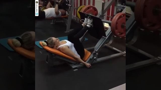 Зебра Бутово Фэмили смотреть онлайн