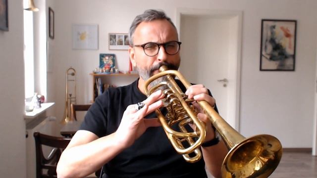 Alto Trumpet in F /Alt Trompete in F / Trompette Contralto en Fa смотреть онлайн