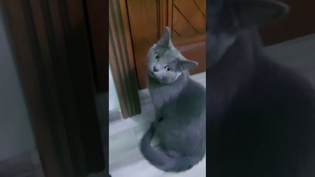Аквариум смотреть онлайн