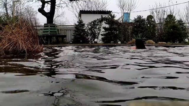 Моржевание, 28 ноября 2021. Всем хорошего настроения не смотря на пасмурный ноябрь. Осень грустит! смотреть онлайн