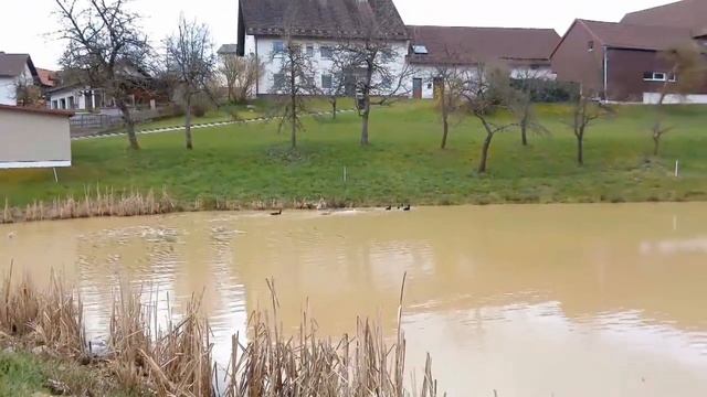 Im Dorf nach Quellwasser. (В селе за родниковой водой) смотреть онлайн
