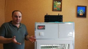 Инкубация, стоит ли начинать, получится или нет?