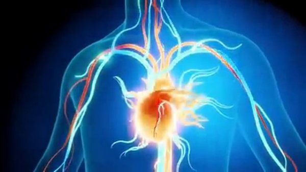 10-04-2025 Матрица Гаряева по исцелению сердца и всей кровеносной системы.