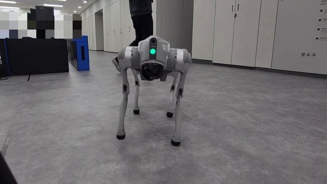 Unitree Go2 Pro test drive смотреть онлайн