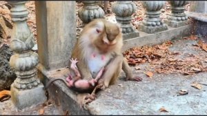 История с продолжением. Даже неудобные позы ... 1000045829.mp4