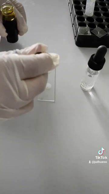 Parasitología смотреть онлайн
