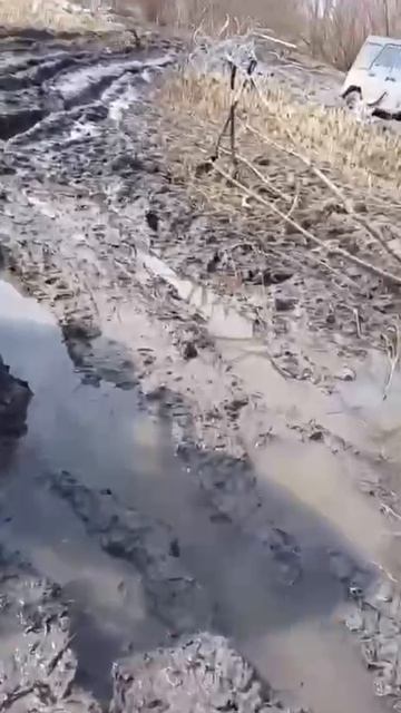 Тяжелые будни медицинских эвакуационных групп на ЛБС смотреть онлайн