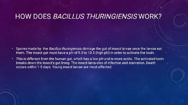 Bacillus thuringiensis смотреть онлайн