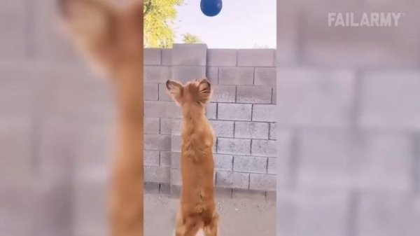 FailArmy (перезалив с youtube). Fall So Good_ Fails of the Week