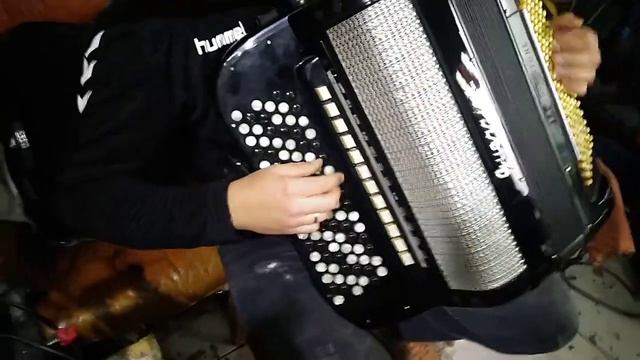 Servis harmonika Dane Loznica 064-420-5721 смотреть онлайн