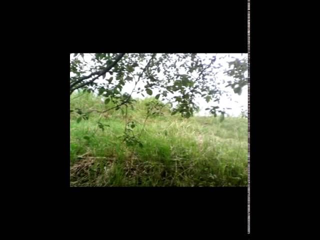 Поиск монет по старым деревням. Разочарование и успех . смотреть онлайн