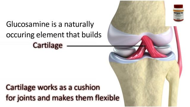 Get relief from workout pains with cheapest Glucosamine Supplement LUBRIJOINT PLUS смотреть онлайн