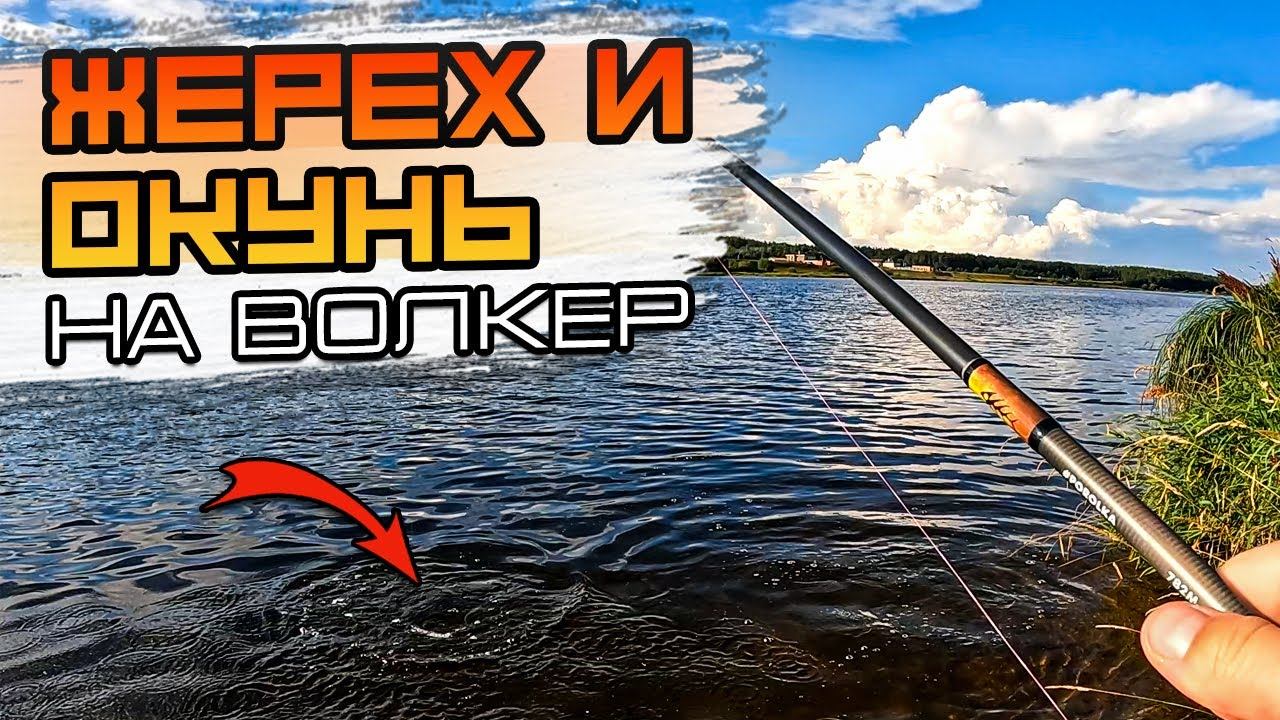 Рыбалка на спиннинг | Жерех на ВОЛКЕР! смотреть онлайн