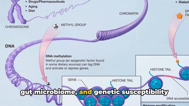 The future of Cancer Care. Nutrition And Epigenetics. смотреть онлайн