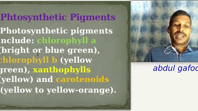 +1 Revision Class Botany Chapter 9 Photosynthesis in Higher Plants (Part 1)/ Malayalam/ Focus Area смотреть онлайн