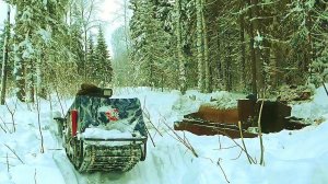 Что заставило меня жить в лесу три дня? Находка в машине!