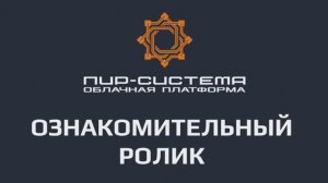 Краткий обзор функционала платформы ПИР-Система (версия для мобильного)