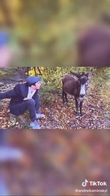 Серго разговаривает с Ослом/// смотреть онлайн