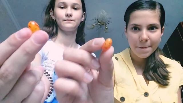 Challenge Bean Boozled смотреть онлайн