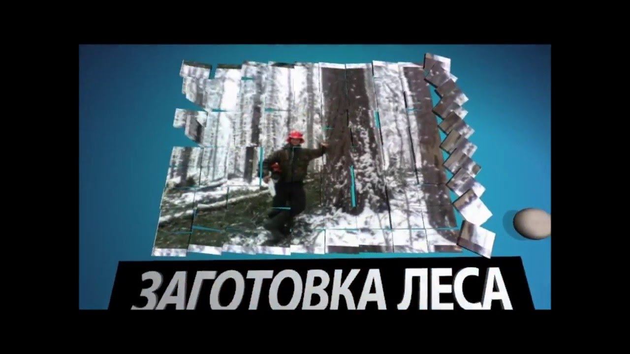 Заготовка леса. Зимний сезон, будни лесорубов. смотреть онлайн