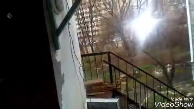Знакомство со мной и моими животными смотреть онлайн